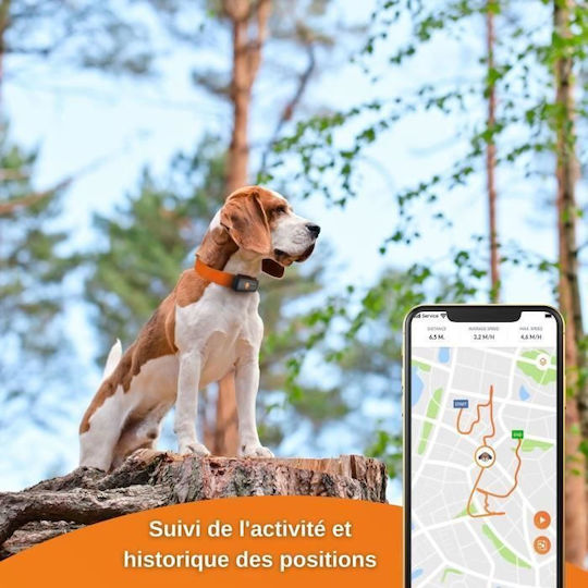 Weenect GPS Електрическа Огърлица за Куче