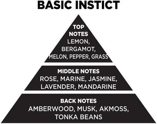 Themagio Αρωματικό Κερί Σόγιας σε Βάζο με Άρωμα Basic Instinct 300gr