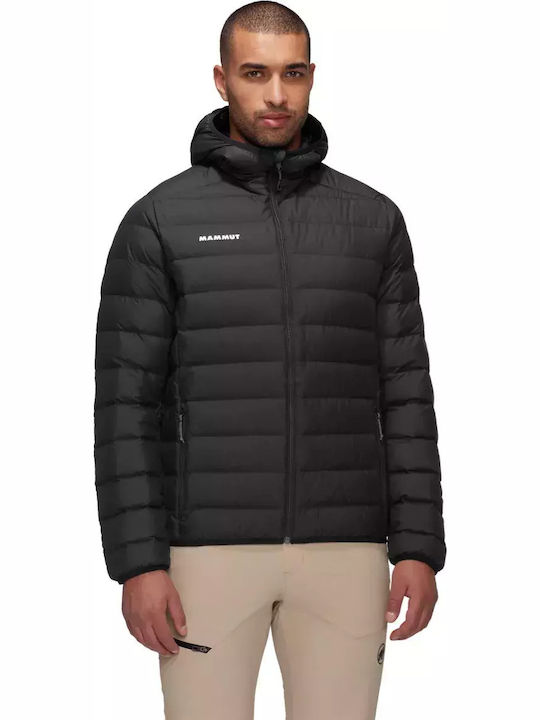 Mammut Mammut