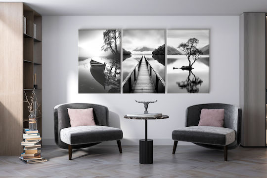 Картини за всекидневна Черно-бял триптих Пейзаж 60x120см