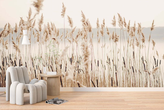Modern Wallpaper Living Room Wallpaper Pampas Grass Boho Beige 260x390
