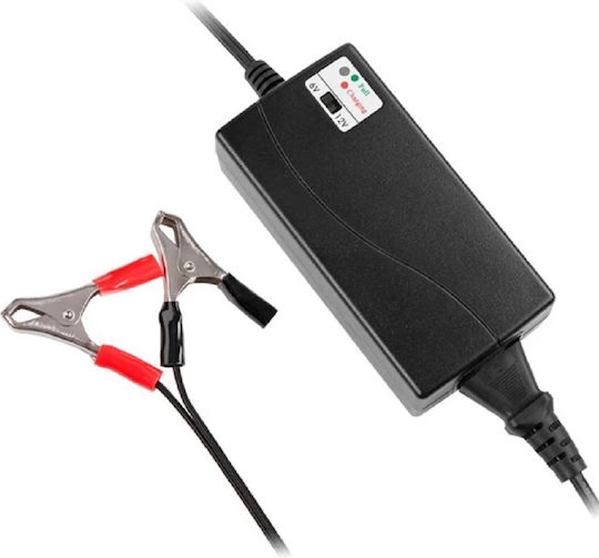 Rebel UPS Battery with Capacity 100Ah and Voltage 12V BAT0421 1pcs
