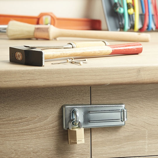 Master Lock Ορειχάλκινο Λουκέτο Πέταλο με Κλειδί 20mm Κίτρινο