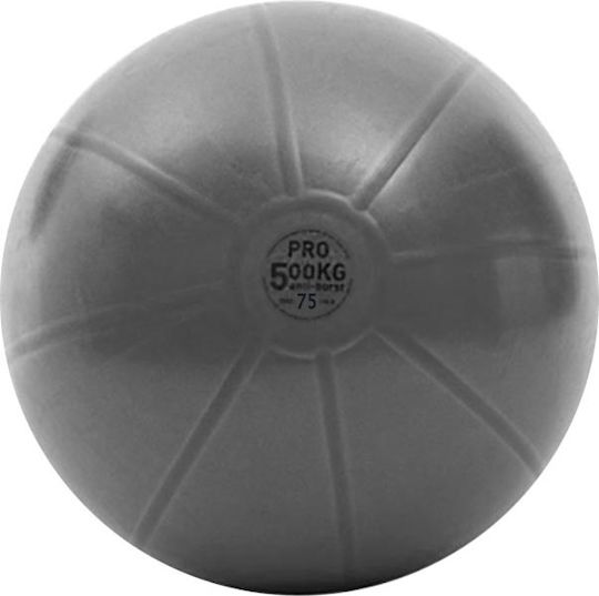 Μπάλα Γυμναστικής Ahf-149 Pro 75cm Toorx