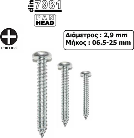 Sheet Metal Screw Phillips Galvanized with Length 6mm