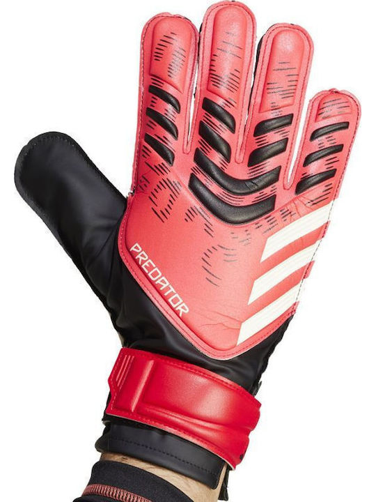 adidas Predator Gl Trn Γάντια Τερματοφύλακα Ενηλίκων Κόκκινα
