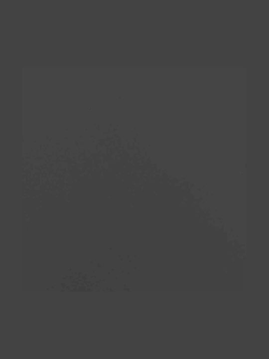 vidaXL Lemn Raft Depozitare lemne 44x28x90cm Negru