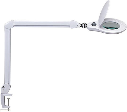 Maul LED Magnifying Lamp Source Dimmable White