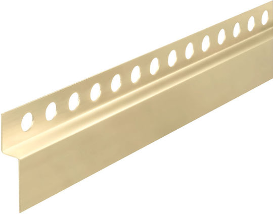 Μπροστινή Λωρίδα Δίσκου Ντους 120cm Gold