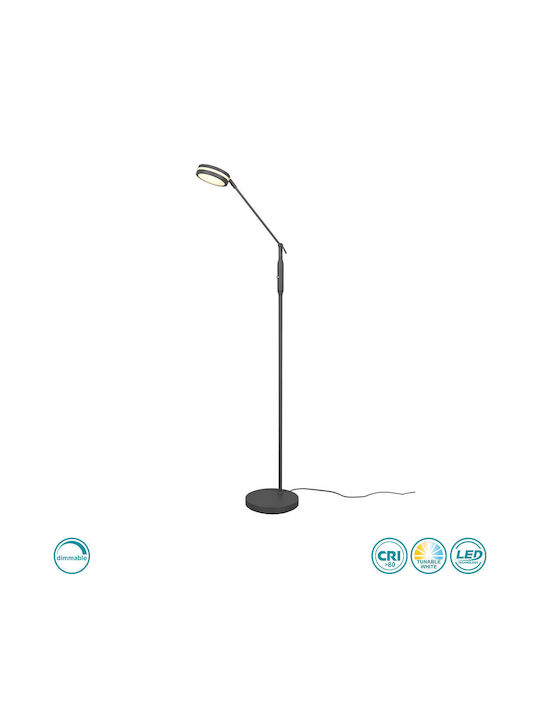 Trio Lighting Franklin LED Floor Lamp H133xW23cm. with Adjustable White Light 650lm Black