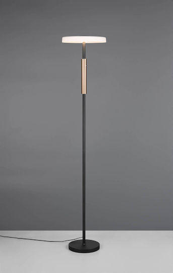 Trio Lighting Celeste LED Stehleuchte H160xB33cm. mit Warmweißem Licht 1750lm Braun
