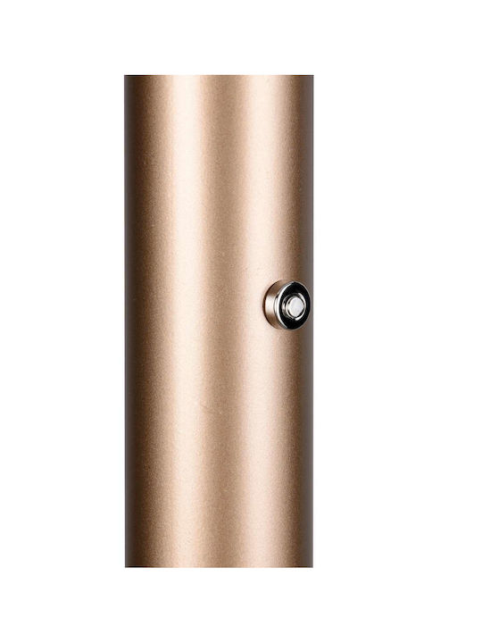 Trio Lighting Celeste LED Φωτιστικό Δαπέδου Υ160xΜ33εκ. με Θερμό Λευκό Φως 1750lm Καφέ