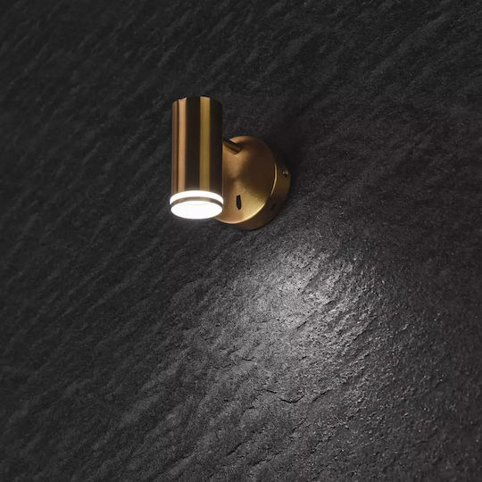 Monos LED Spot în Culoare Auriu