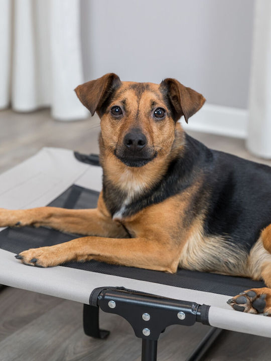 Trixie Lounger Elevated Dog Bed Gray 60x60cm