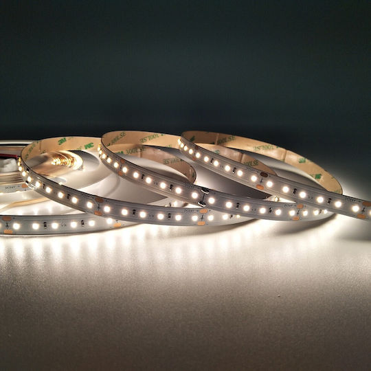 VK Lighting LED Лента 24V Неутрално бяло Светлина 5м Тип SMD2216