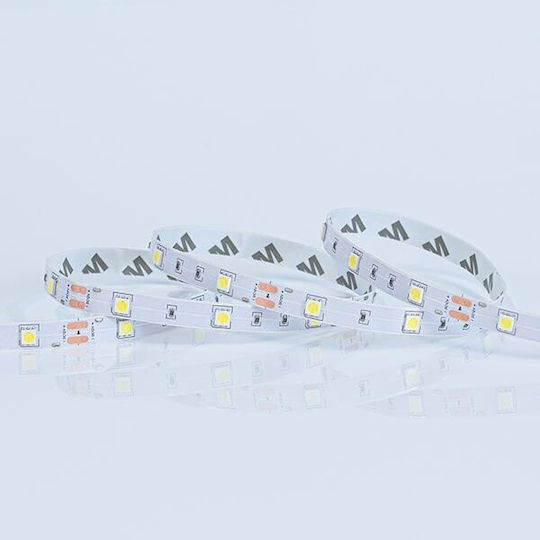 Eurolamp LED Strip 24V RGB Light 5m Type SMD5050