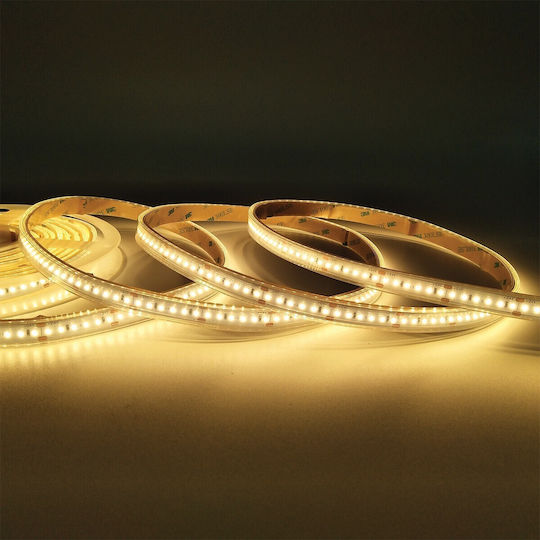 VK Lighting Αδιάβροχη Ταινία LED 24V Θερμό Λευκό Φως 5m Τύπου SMD2216