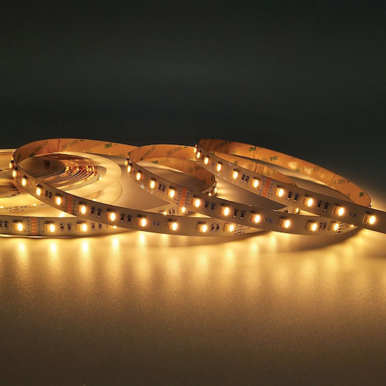 VK Lighting Αδιάβροχη Ταινία LED 24V RGBWW Φως 5m Τύπου SMD2835