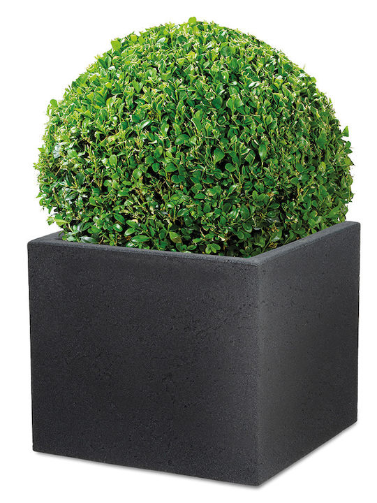 Scheurich Planter Plastic Black 28.5x28.5cm.