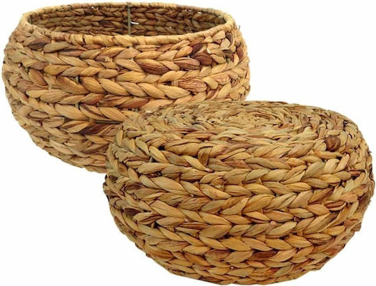 Art et Lumiere Hyacinth Planter Plant Pot Wicker Brown