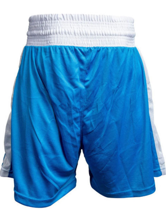 Top Ten Aiba Shorts Boxen Blau