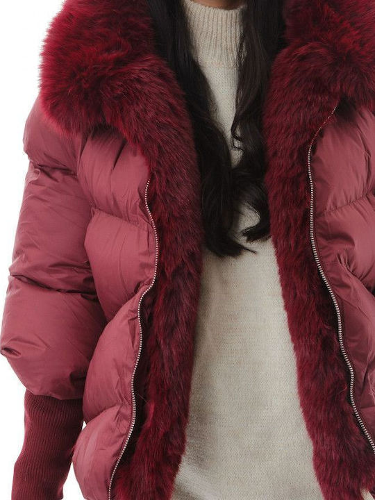 Women's Short Puffer Jacket for Winter with Hood Burgundy