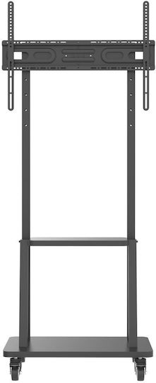 Techly ICA-TR3390 Βάση Τηλεόρασης Δαπέδου έως 70"
