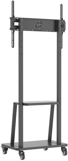 Techly ICA-TR3390 Βάση Τηλεόρασης Δαπέδου έως 70"