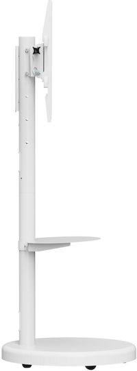 Techly Fernsehhalterung Boden bis 86" und 50kg