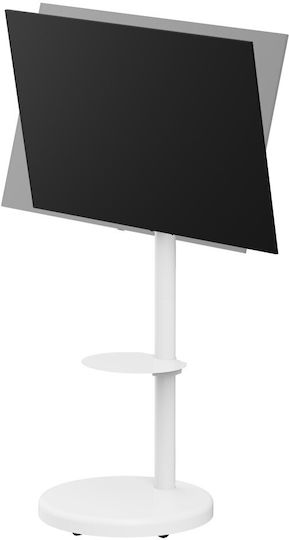 Techly Fernsehhalterung Boden bis 86" und 50kg