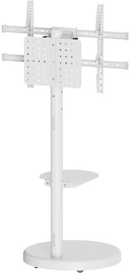 Techly Fernsehhalterung Boden bis 86" und 50kg