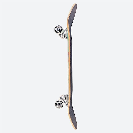 DGK Scribble Complete Shortboard 7.25" Red