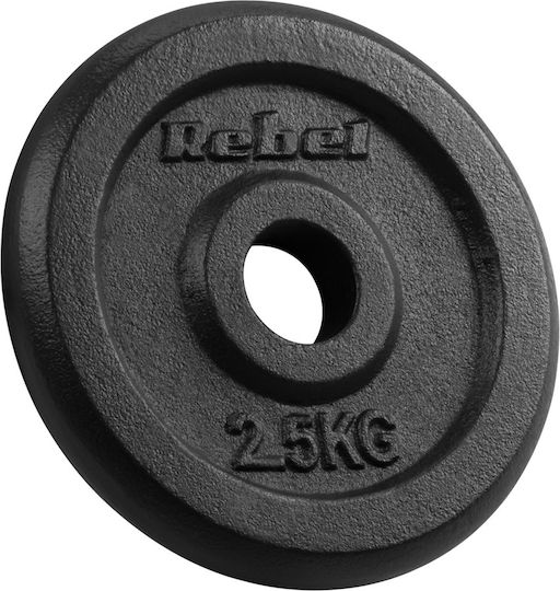Scheibenset Metall 4 x 2.5kg Ø31mm