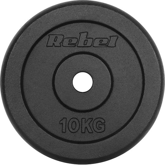 Set of Plates Metal 2 x 10kg Ø31mm