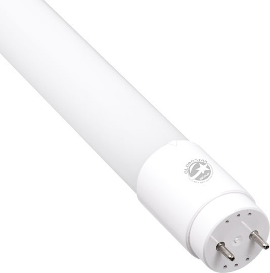 GloboStar LED Bulb 25W Fluorescent Type 150cm for Socket G13 and Shape T8 Cool White 2681lm