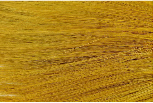 Konservierte Blumen Barba Gelb 100g H:50-60 cm
