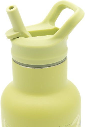 Sassi Junior Dinosaur Dinosaur Stainless Steel Kids Water Bottle Dinosaurs with Straw 350ml