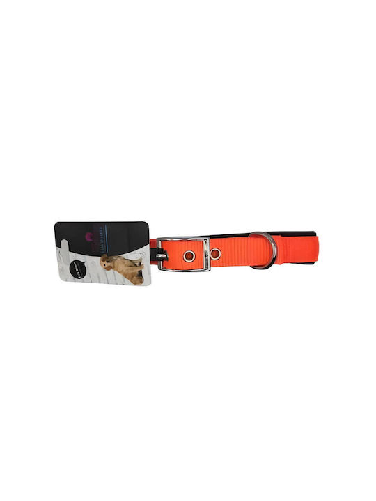Pet Camelot Περιλαίμιο Ανατομική Επένδυση 25mmx55cm Λαχανι