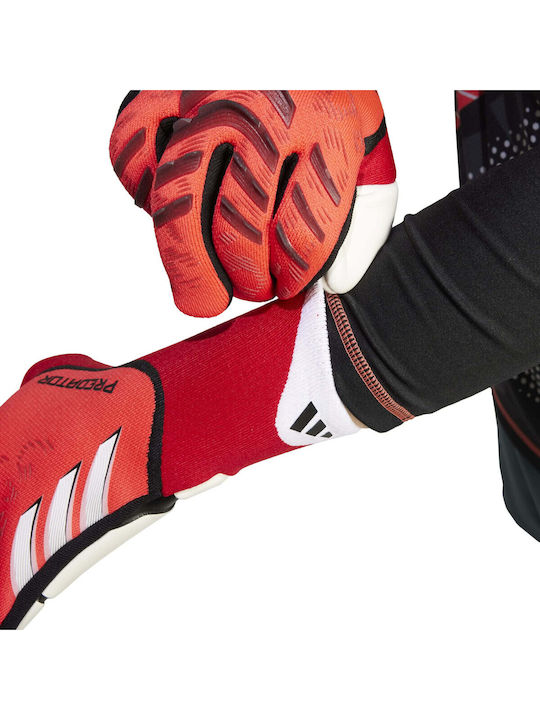 adidas Predator Pro Torwarthandschuhe Erwachsene Rot