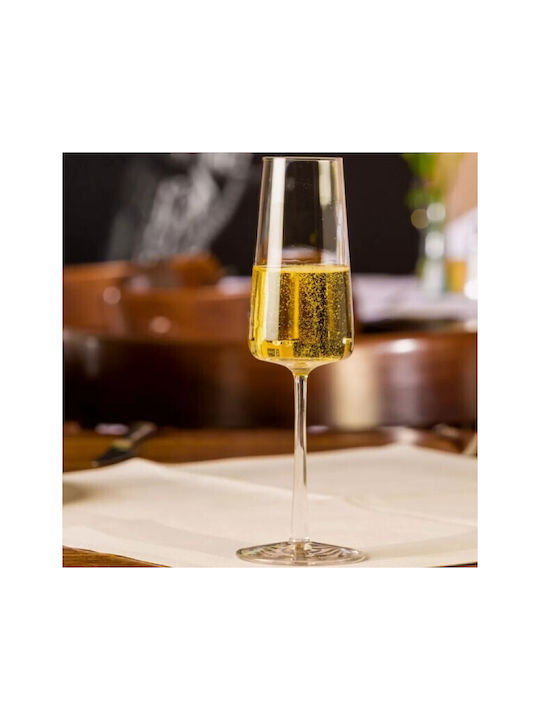 Stolzle Lausitz Set de pahare de sampanie / Vin alb din Cristal Cu picior 240ml 6buc
