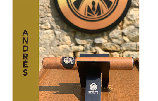 XO Havana Einweg E-Zigarette 600 Züge Havana Cigar 2ml 20mg