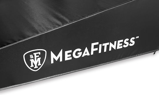 Megafitness Handwalking Ladder