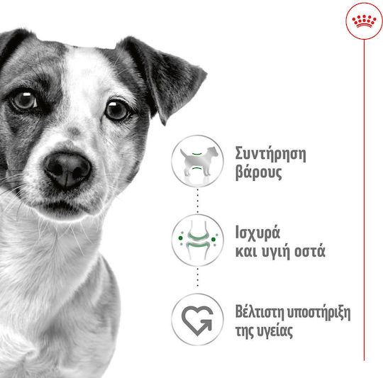 Royal Canin Wet Dog Food in Diet Cans with Meat 195gr
