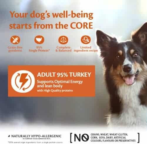 Wellness Core Υγρή Τροφή Σκύλου με Γαλοπούλα και Λαχανικά 400γρ.