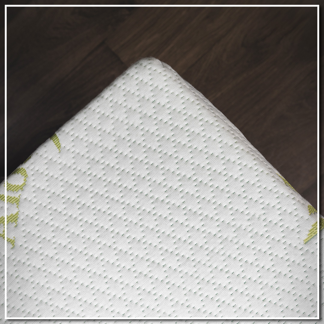 bogenhanf straight pflege Sansevieria straight (Bogenhanf) kaufen main image 0