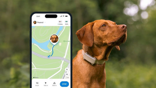 Tractive Dog GPS Shock Collar Brown