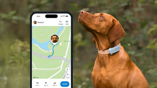 Tractive GPS Elektrisches Hundehalsband TRDOG6MT Minze | Skroutz Germany
