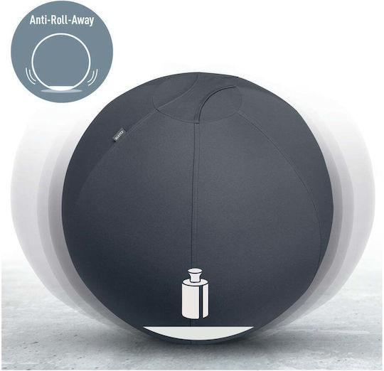 Ergonomic Sitting Ball Weights Ø 65 Cm Ergo – Leitz