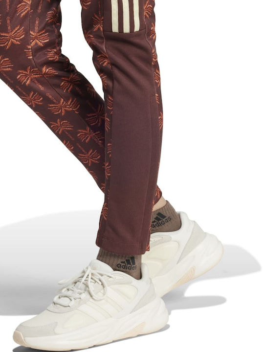 Farm Rio Damen Jogginghose mit Jogger Braun