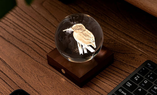 Gingko Light Decorative Lamp 3D Illusion Multicolour